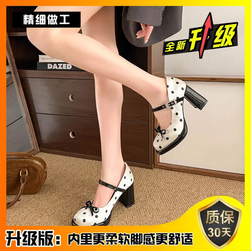 Sweet Polka Dot Mary Jane Shoes Women's Chunky Heel